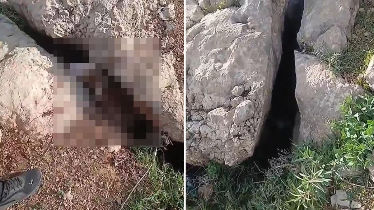 Altın arıyorlardı, gördükleri şoke etti!
