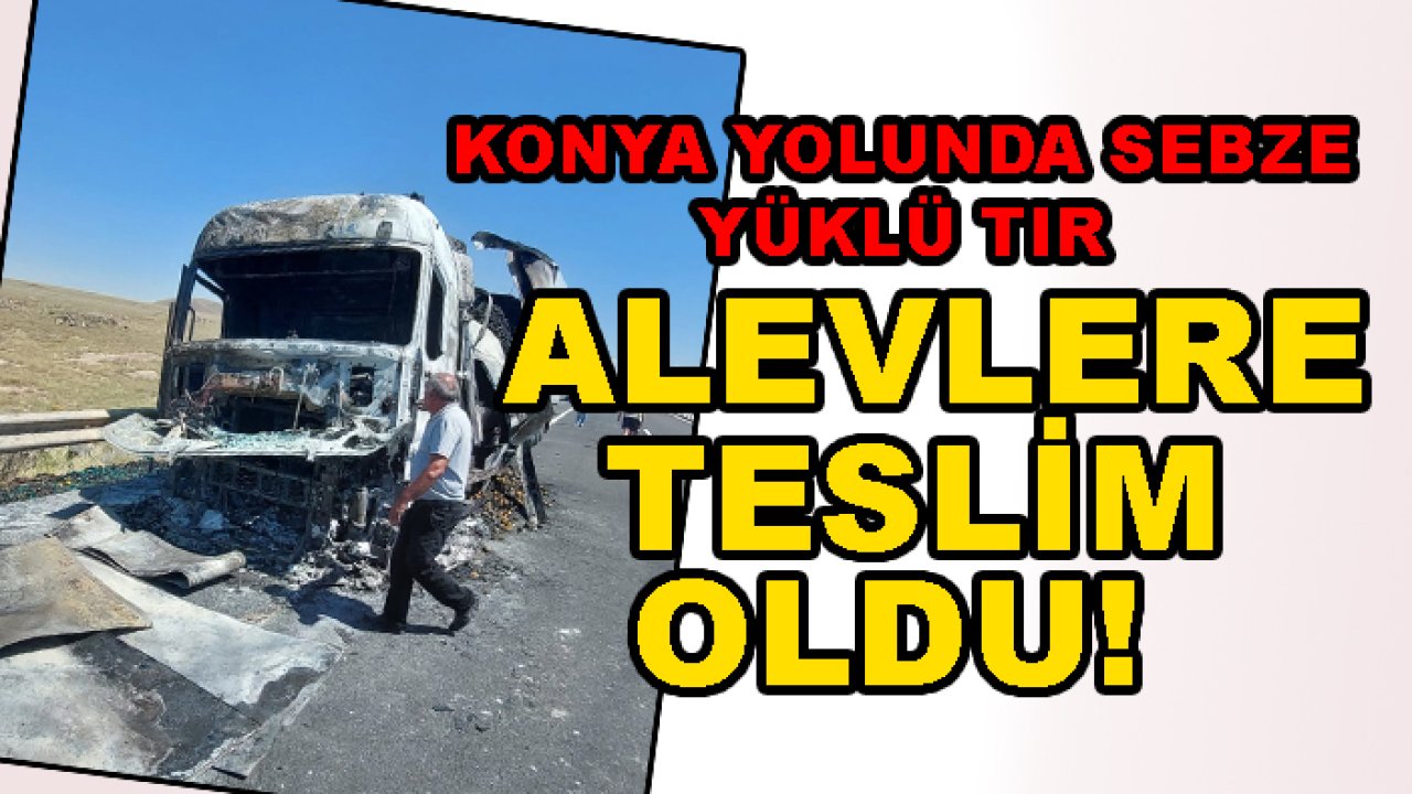 Konya yolunda sebze yüklü TIR  alevlere teslim oldu!