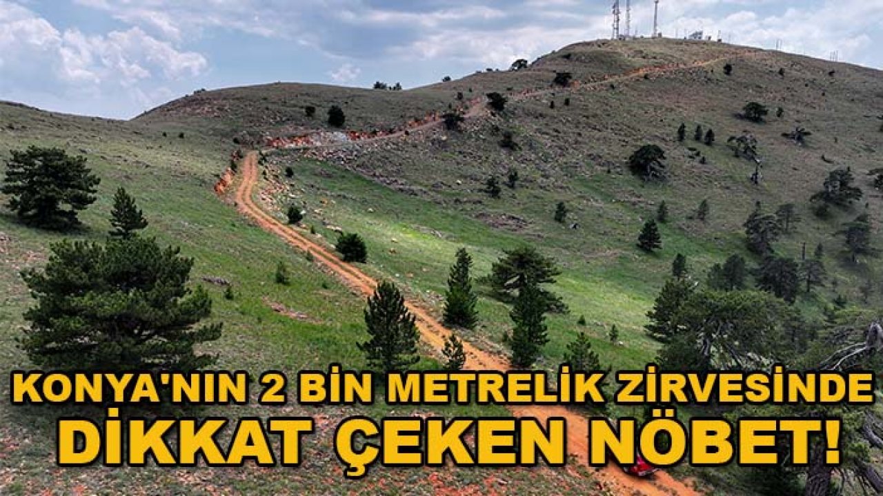 Konya'nın 2 bin metrelik zirvesinde dikkat çeken nöbet!