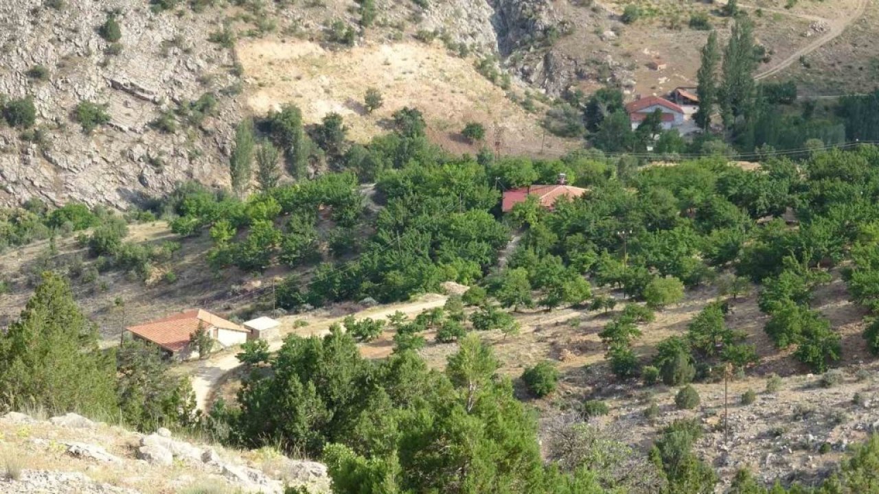 Kayıp kadının cenazesi dağda aranıyor!