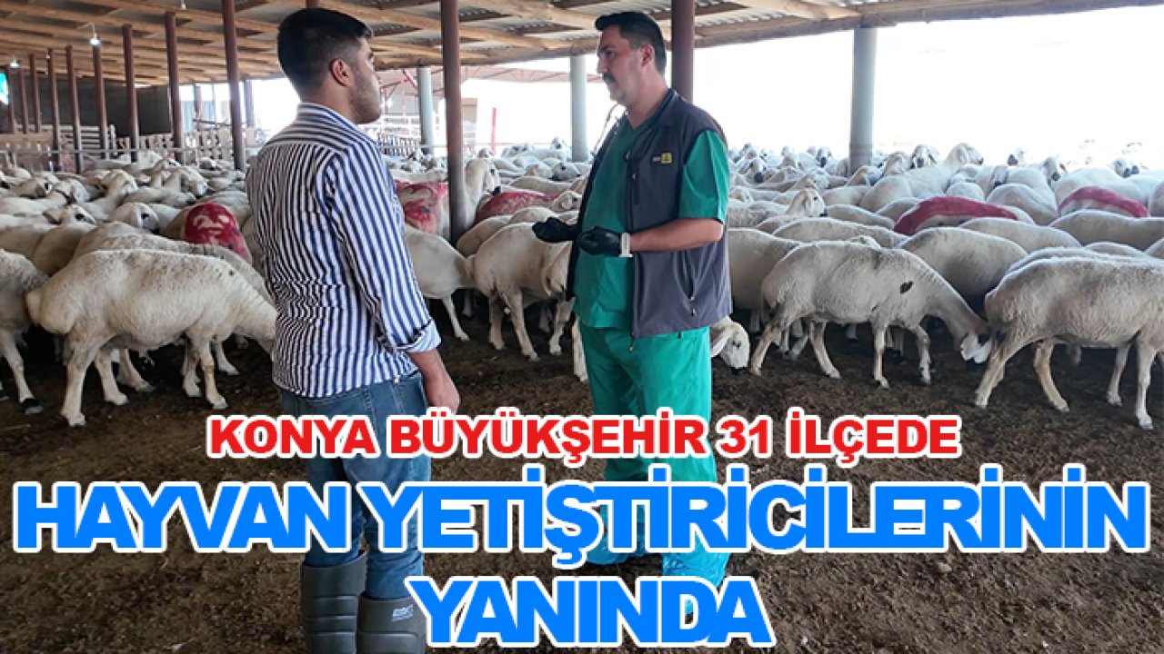 Konya Büyükşehir 31 ilçede hayvan yetiştiricilerinin yanında: Eğitimler sürüyor