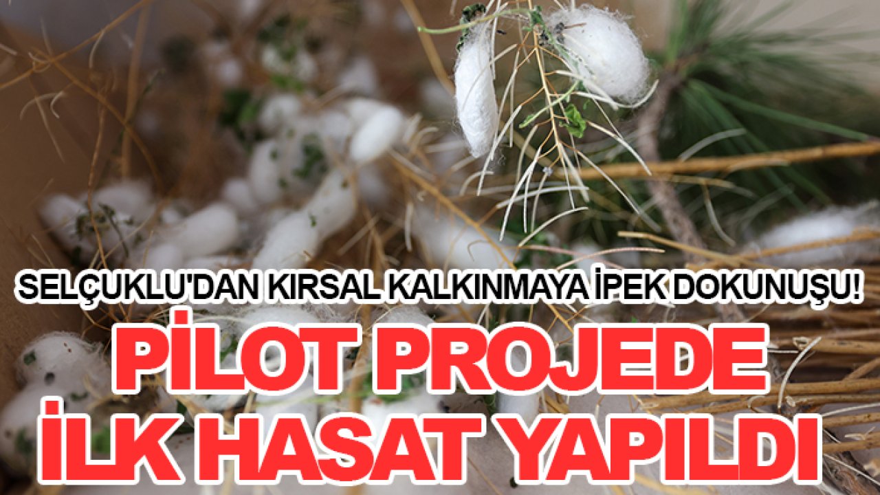 Selçuklu'dan kırsal kalkınmaya ipek dokunuşu! Pilot projede ilk hasat yapıldı