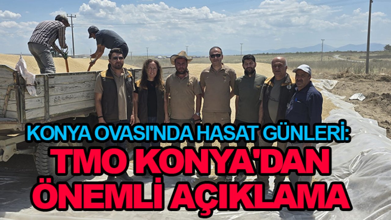 Konya Ovası'nda hasat günleri: TMO Konya'dan önemli açıklama