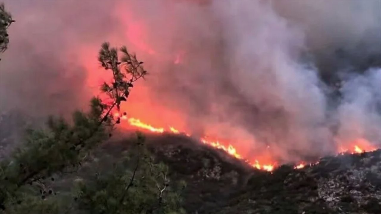 Antalya’nın Kaş ilçesinde korkutan orman yangını