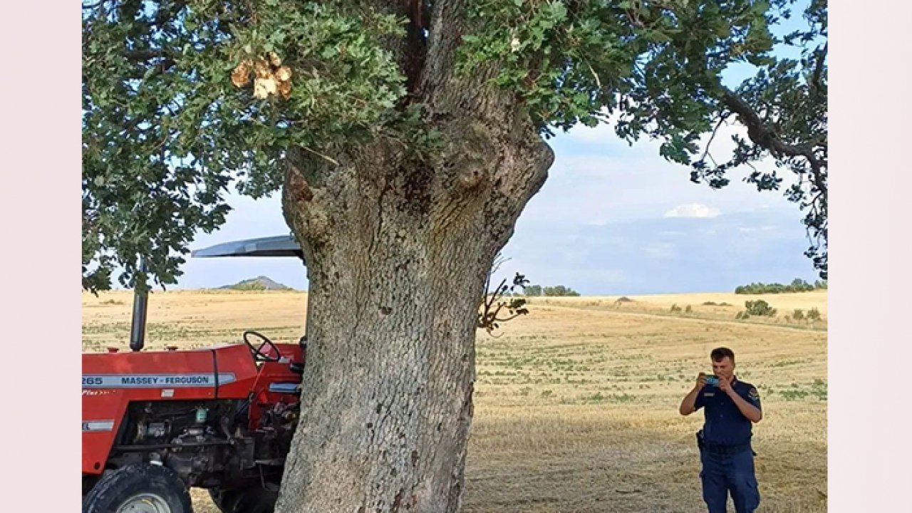 Yıldırım düşen ağacın altındalardı! 30'u da öldü