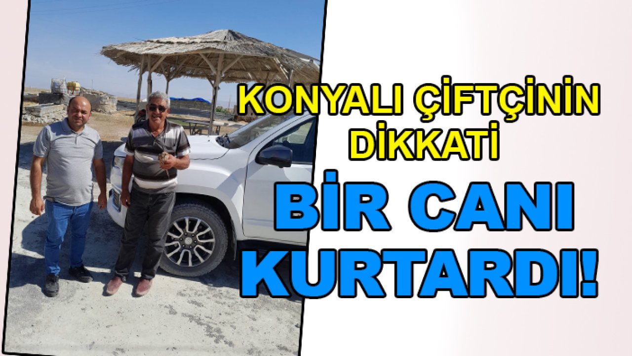 Konyalı çiftçinin dikkati bir canı kurtardı!