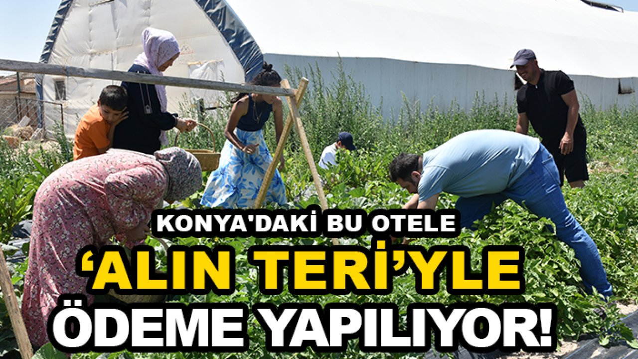 Konya'daki bu otele 'alın teri'yle ödeme yapılıyor!