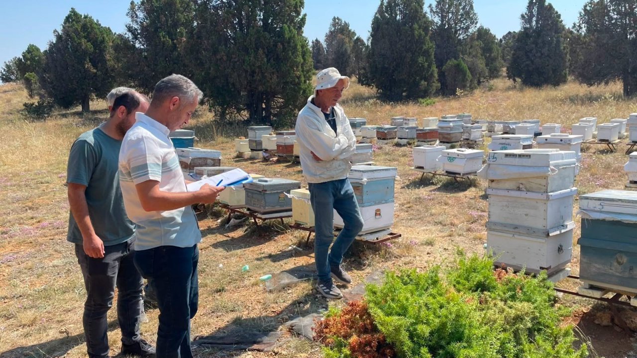 Tarım ekipleri Beyşehir'de sahaya indi: Kovanlar tek tek sayıldı