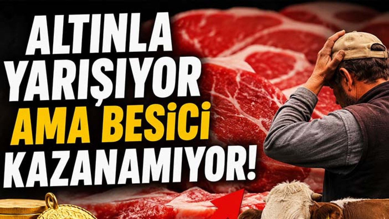 Altınla yarışıyor ama besici kazanamıyor! Konya’da kırmızı et çıkmazı