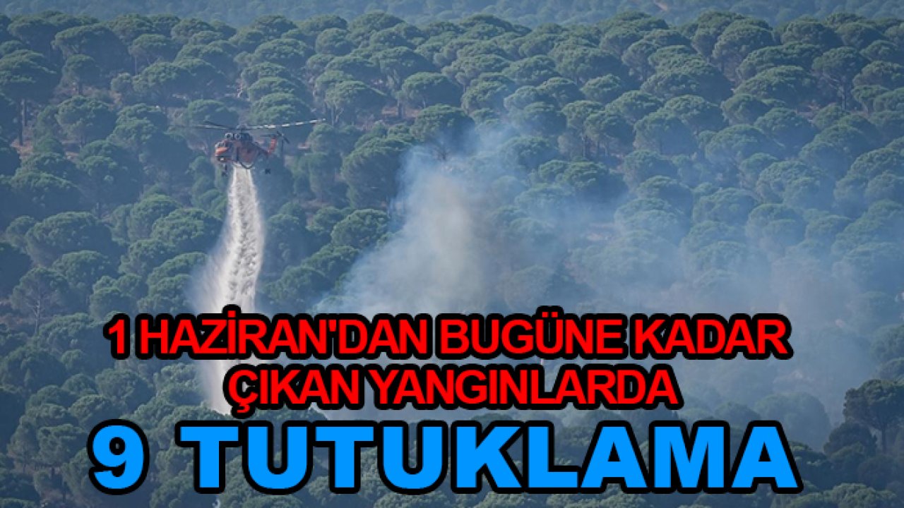 1 Haziran'dan bugüne kadar çıkan yangınlarda 9 tutuklama