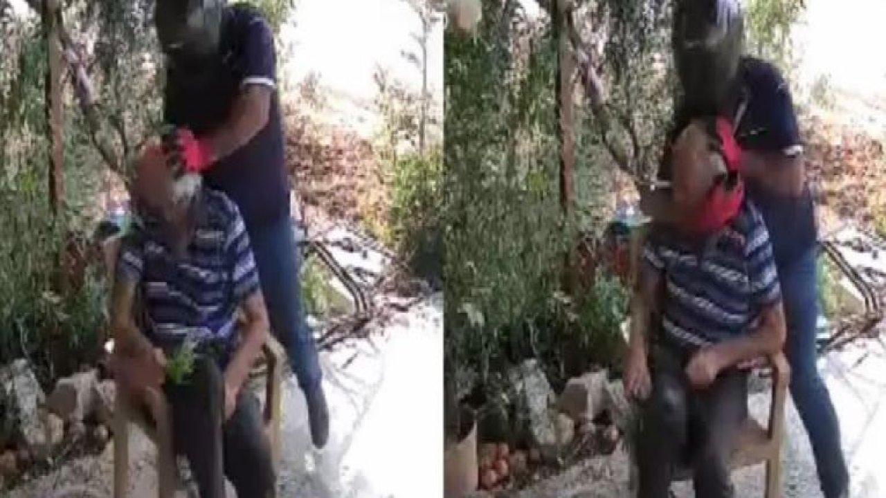 Güpegündüz bahçesine girip boynunu kırmaya çalışmıştı! Kahreden haber