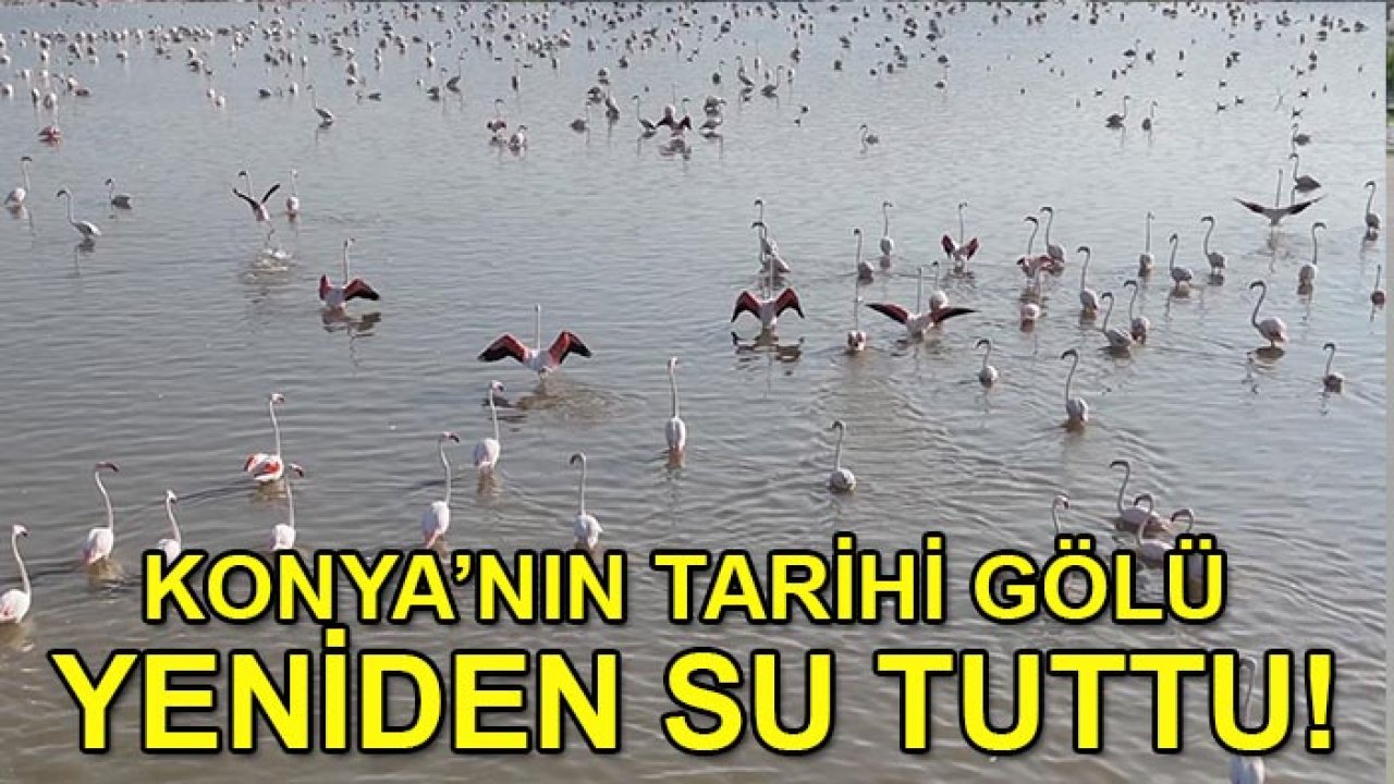 Konya’nın tarihi gölü yeniden su tuttu!