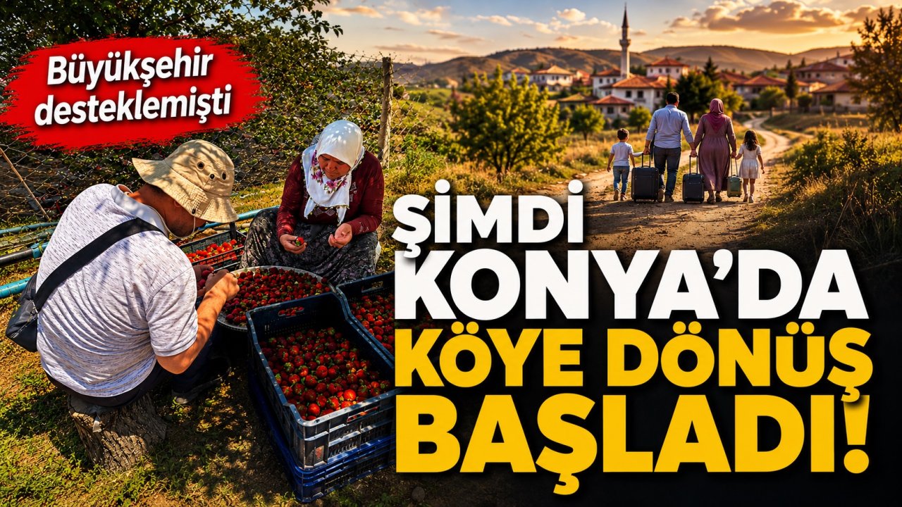Büyükşehir desteklemişti, şimdi Konya'da köye dönüş başladı