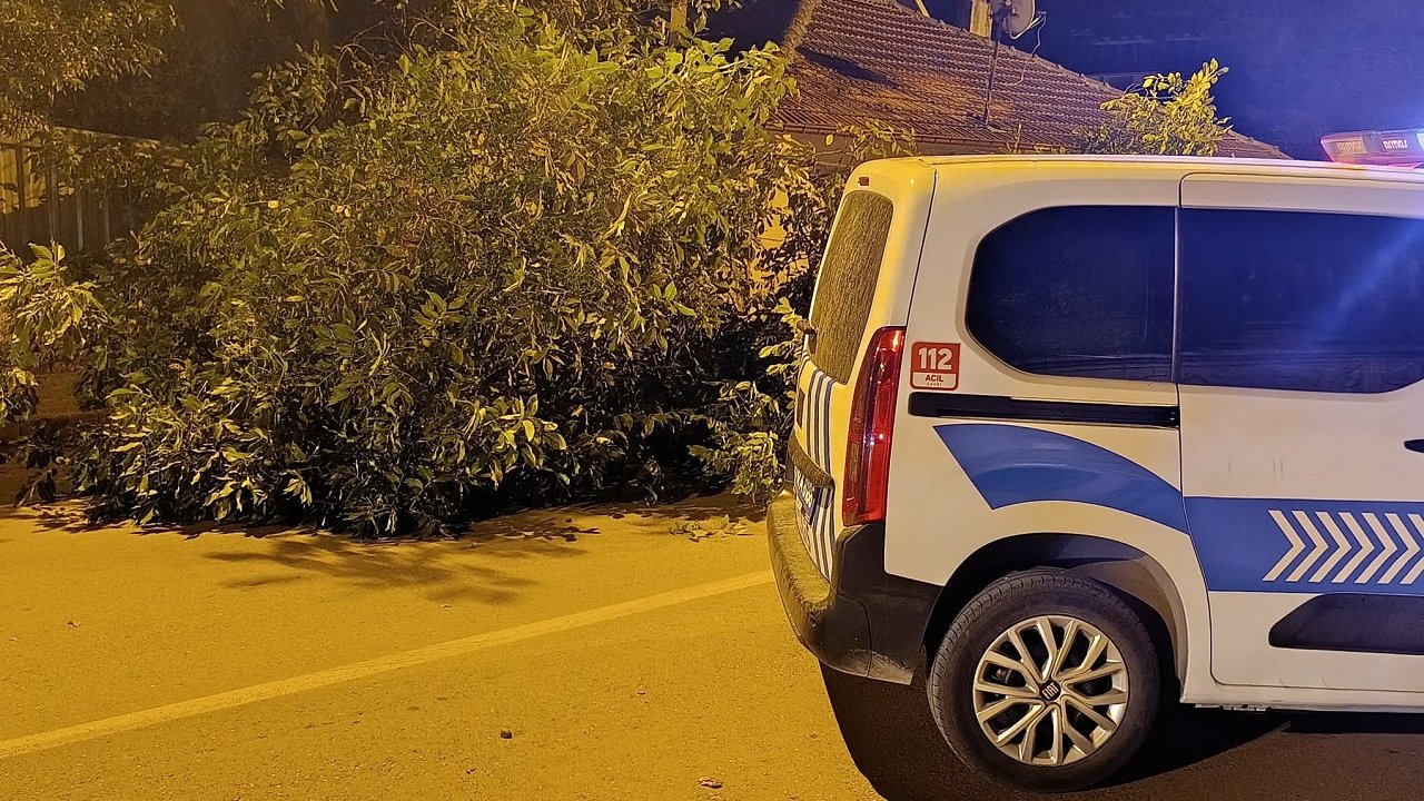 Konya'nın ilçesinde ağacın dalları yola devrildi! Yol trafiğe kapandı