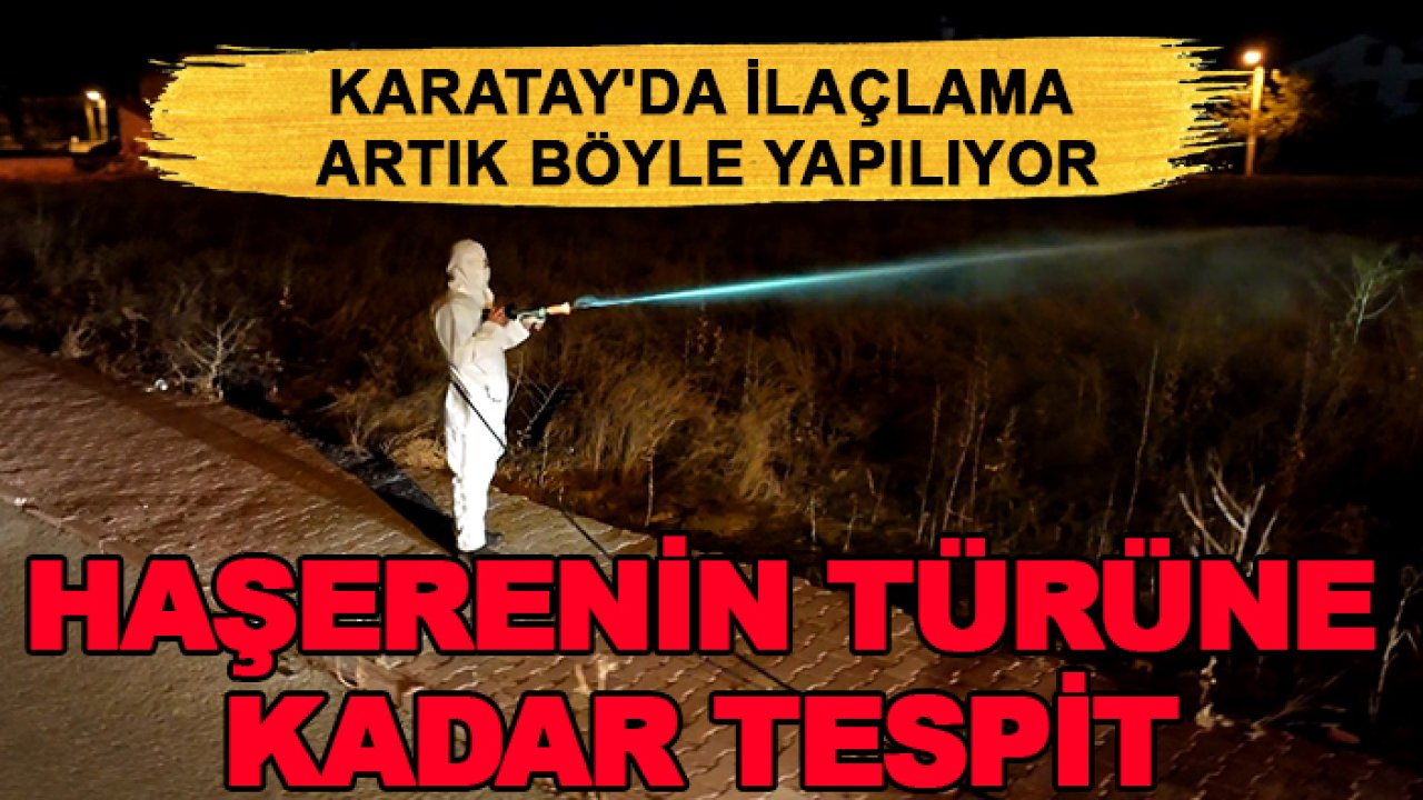 Karatay'da ilaçlama artık böyle yapılıyor: Haşerenin türüne kadar tespit