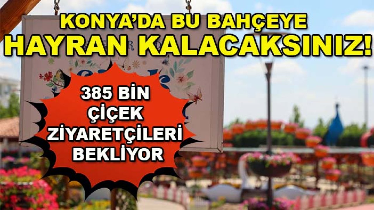 Konya’da bu bahçeye hayran kalacaksınız! 385 bin çiçek ziyaretçileri bekliyor