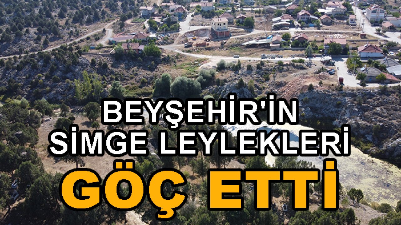 Beyşehir'in simge leylekleri göç etti!