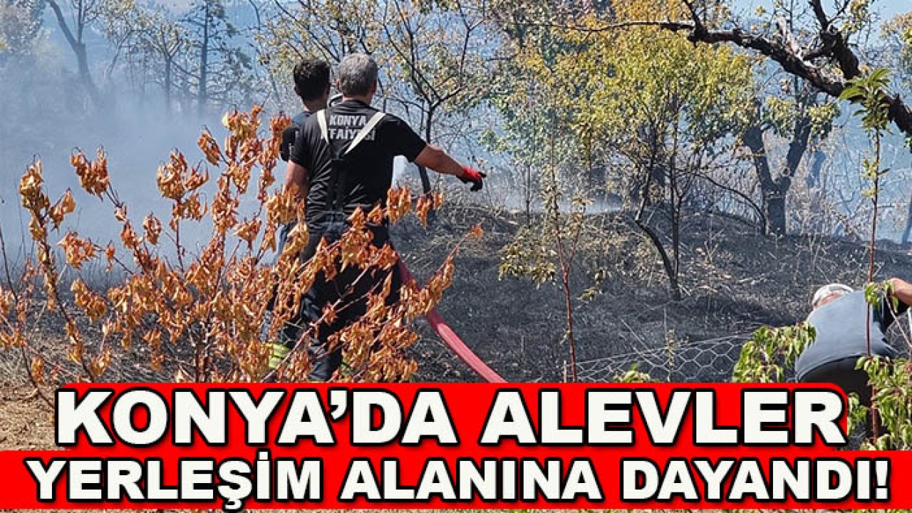 Konya’da alevler yerleşim alanına dayandı! Ekipler zamanla yarıştı