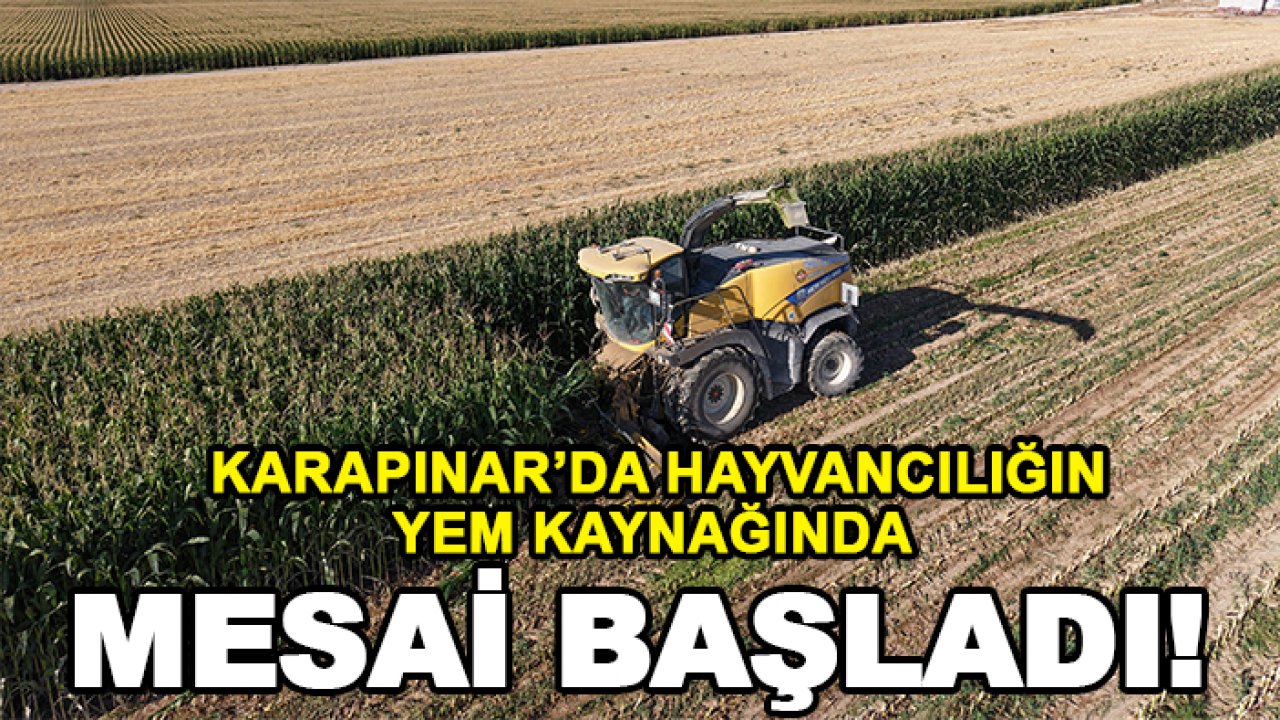 Karapınar’da hayvancılığın yem kaynağında mesai başladı!