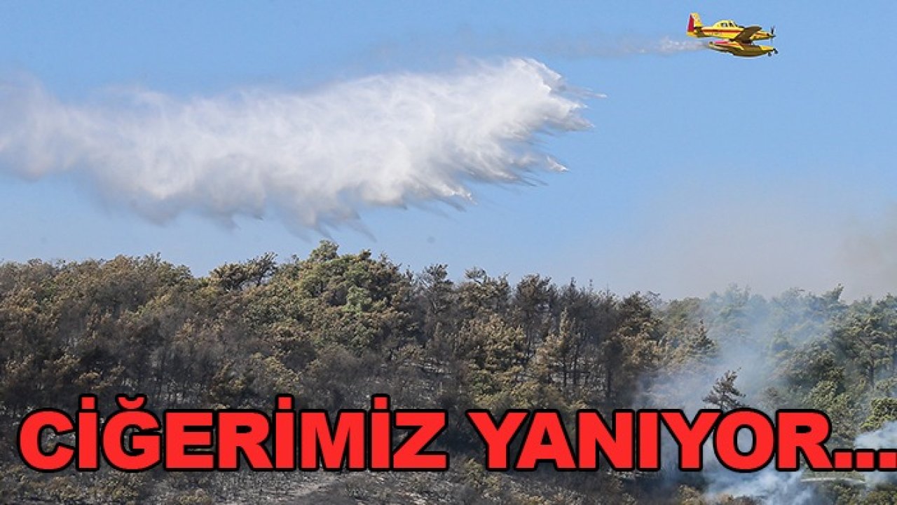 Bursa’da ciğerimiz yanıyor