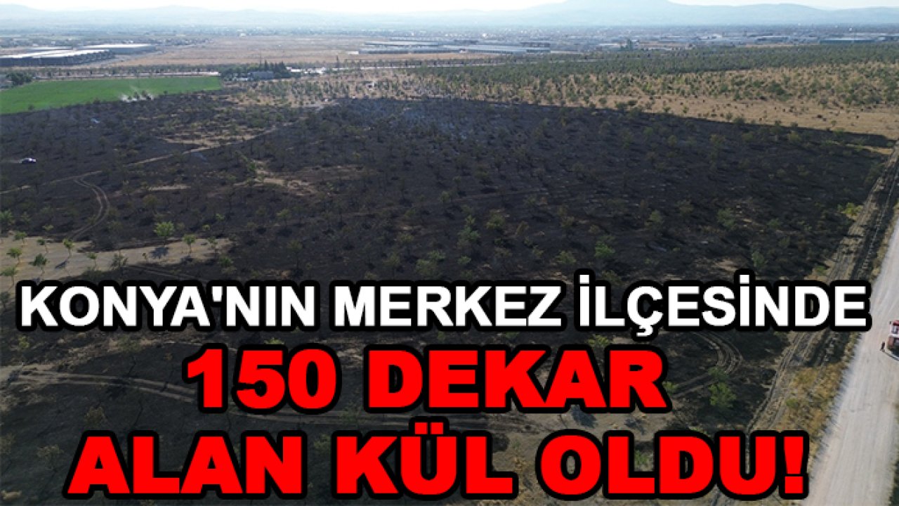 Konya'nın merkez ilçesinde 150 dekar alan kül oldu!