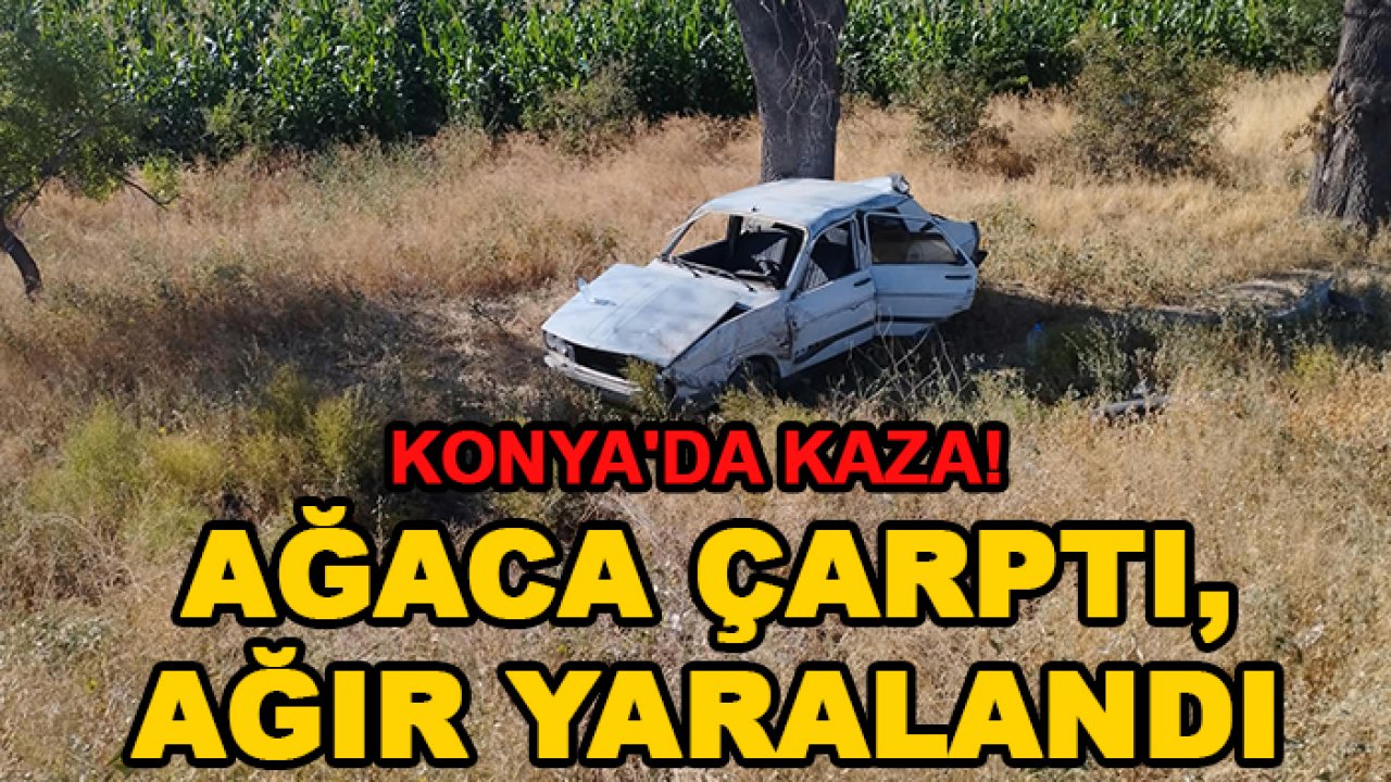 Konya'da kaza! Ağaca çarptı, ağır yaralandı
