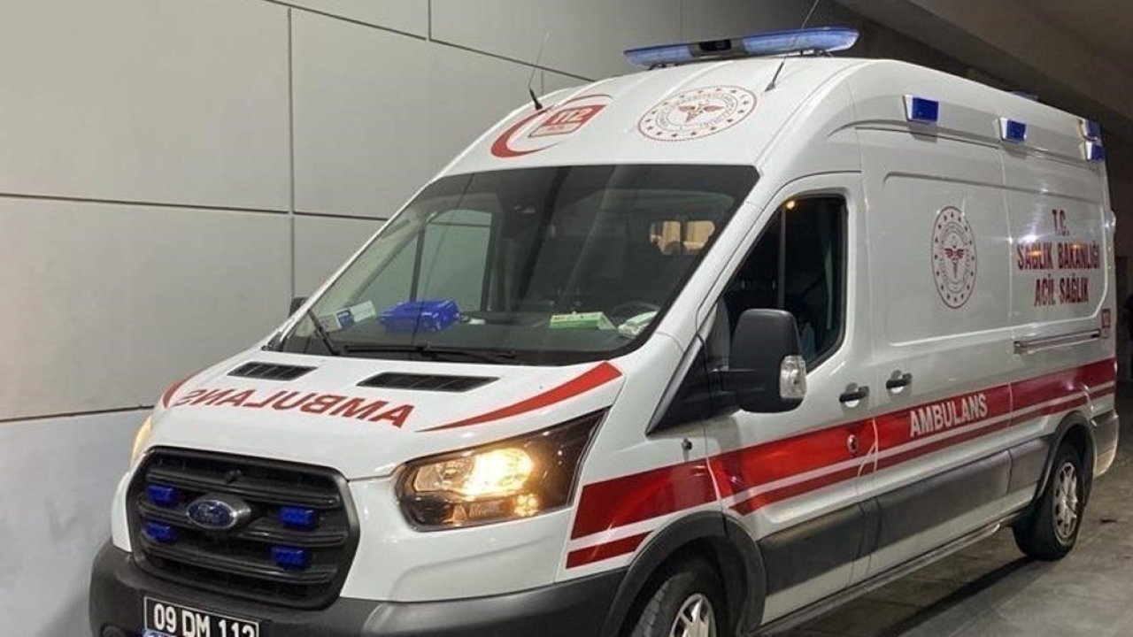 Bahçeye hava almaya çıktı, gördüğü manzara karşısında şoke oldu