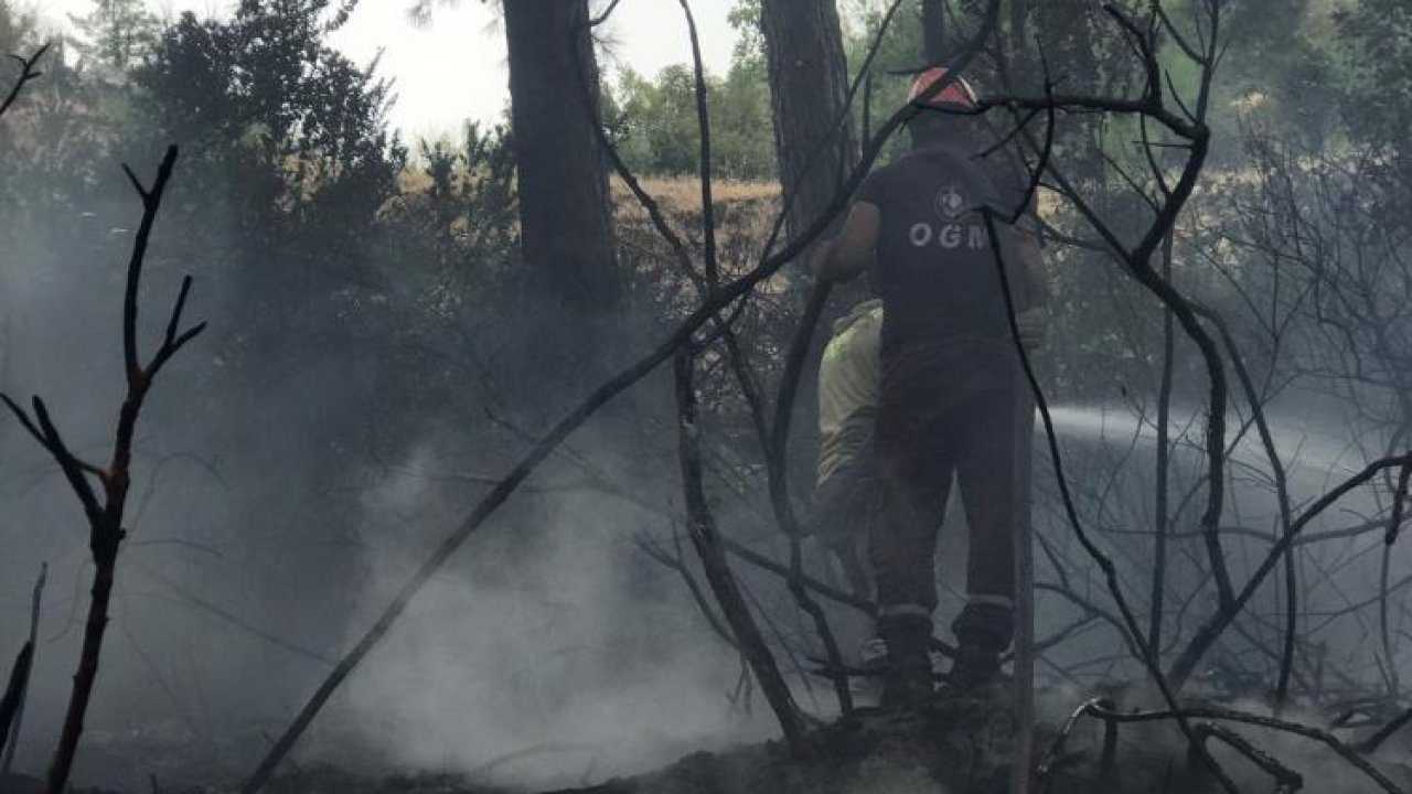 Alanya’da korkutan anlar! Yıldırım ormanı alevlere teslim etti