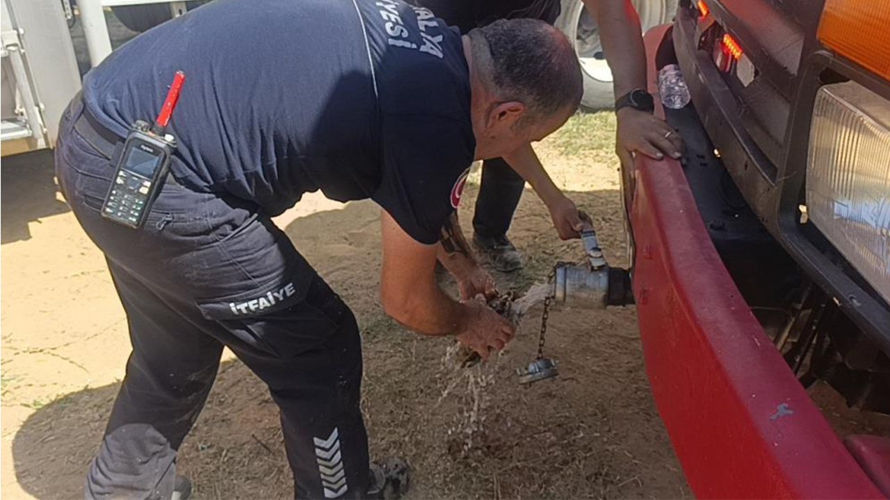 Antalya’da orman yangınında ekipler hayvanları da kurtarıyor!