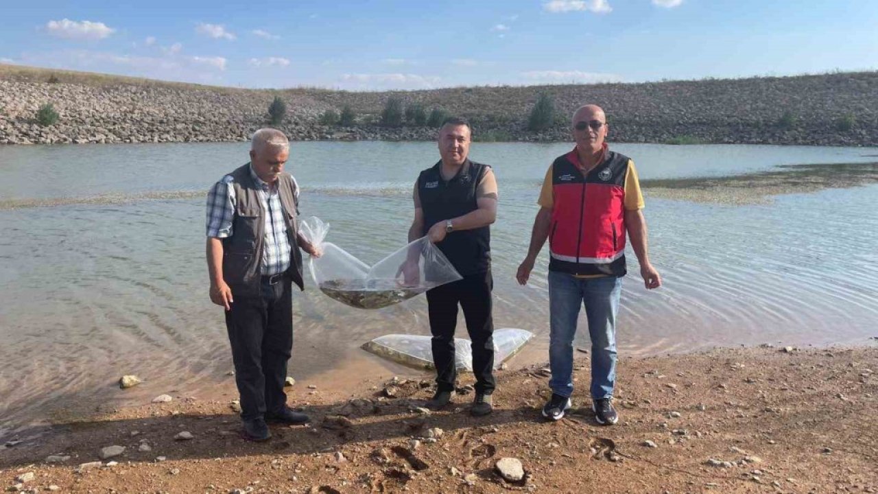 Beyşehir'in ve Hüyük’ün göletlerine yavru sazan bırakıldı