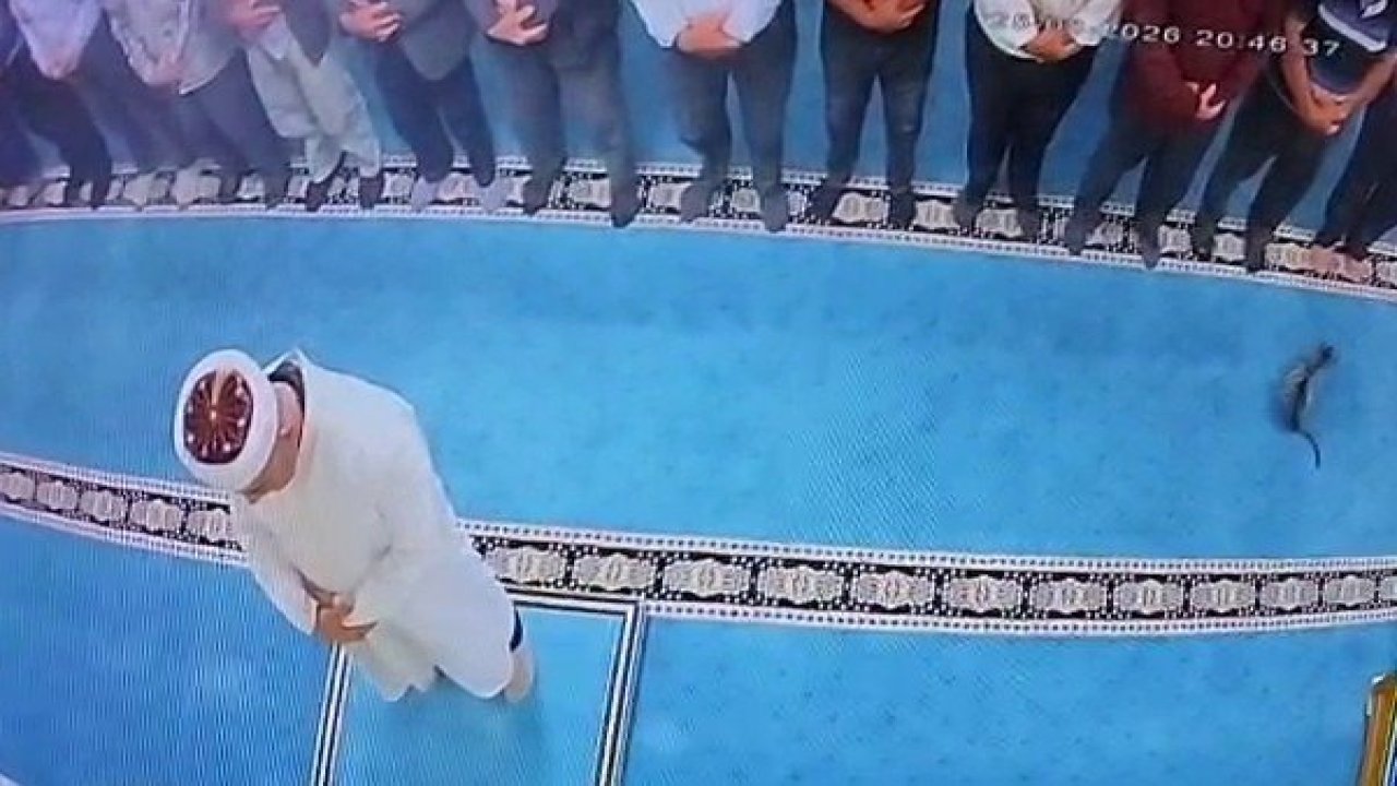Camide tekmelediği kedi namazda imamın başına geldi: Gözaltına alındı