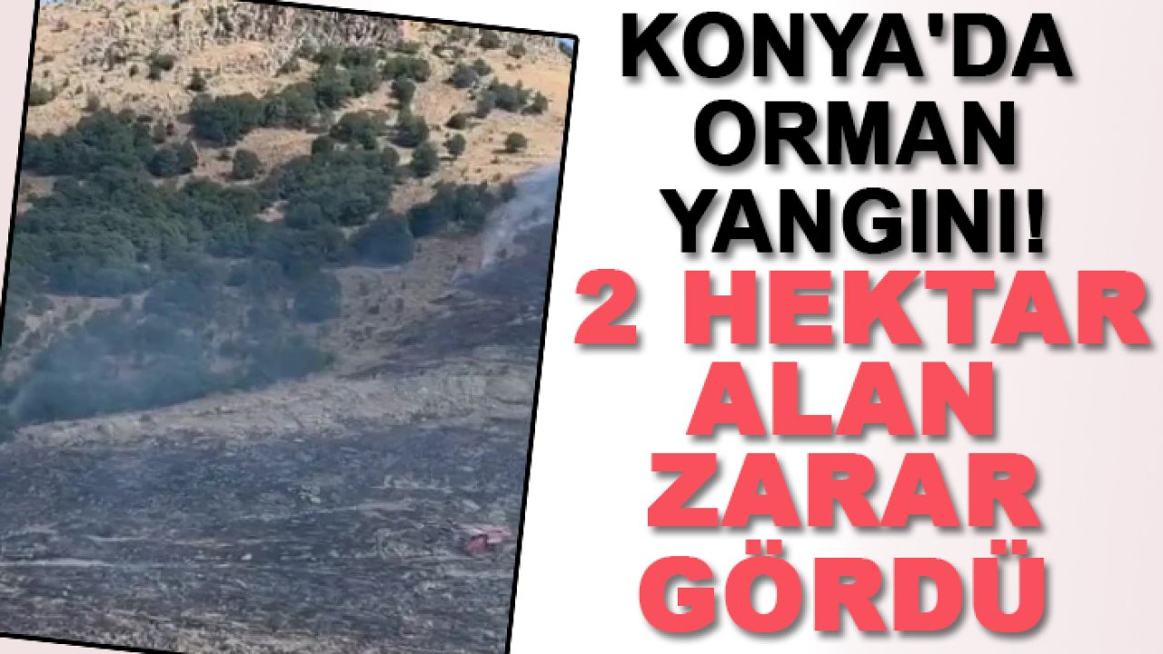 Konya'da orman yangını! 2 hektar alan zarar gördü