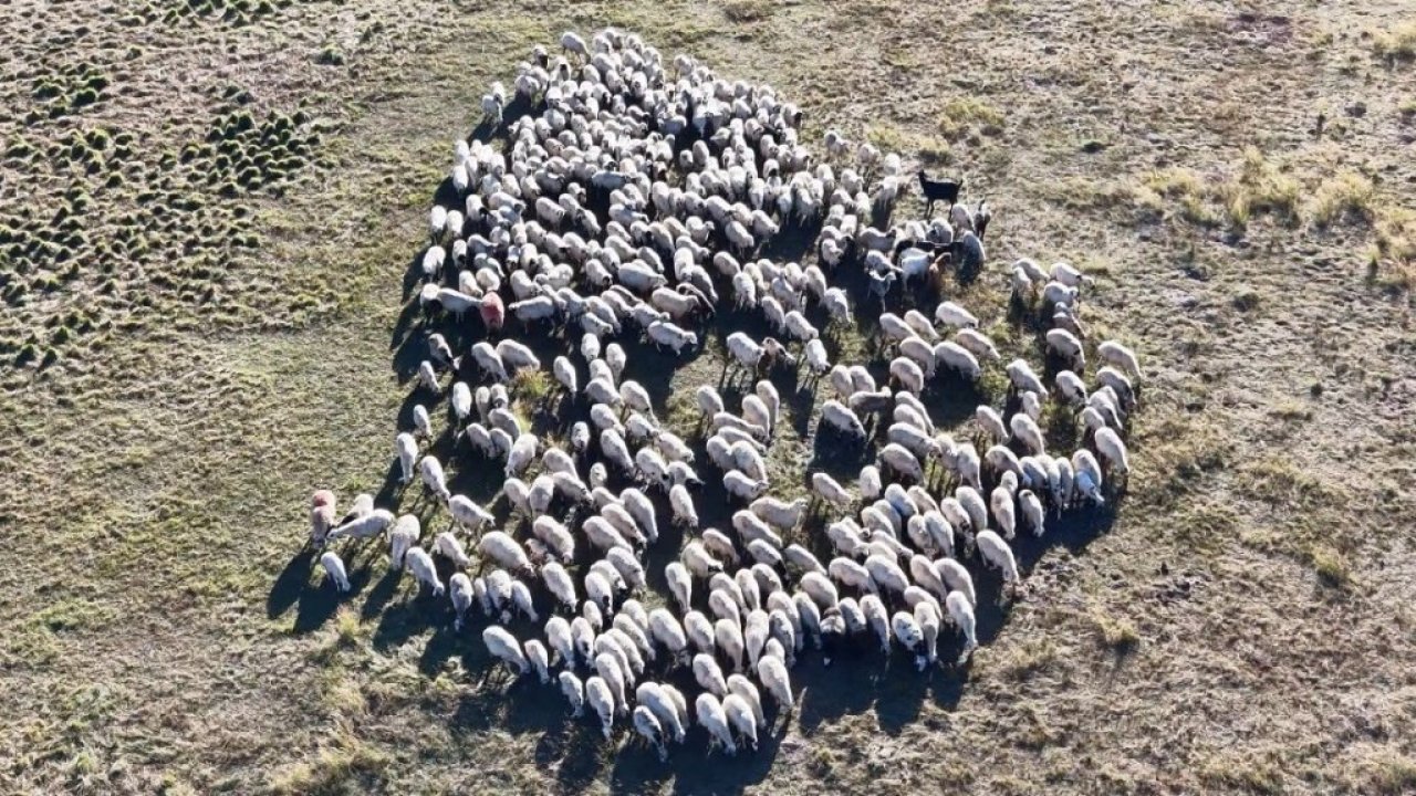 150 bin lira maaş veriliyor, yine de kimse bu işi yapmak istemiyor!