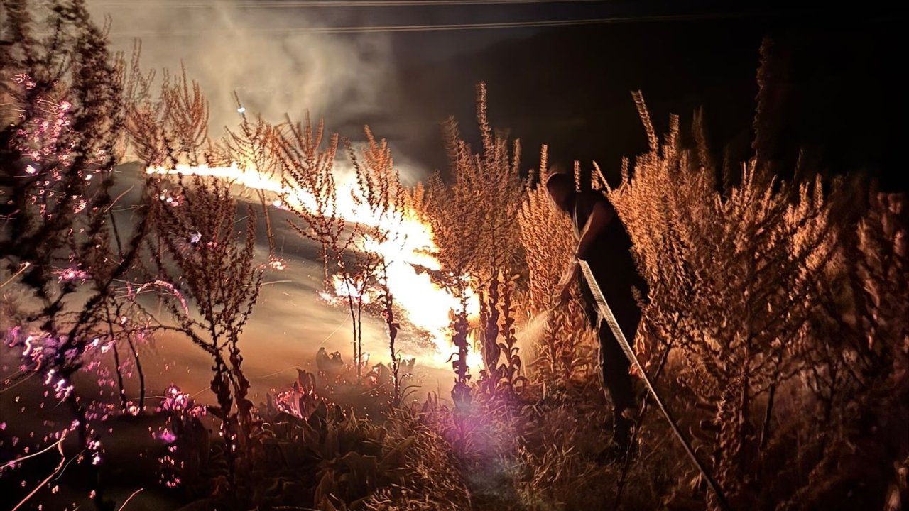 Manisa’da gece yıldırımın ardından çıkan yangınla aydınlandı