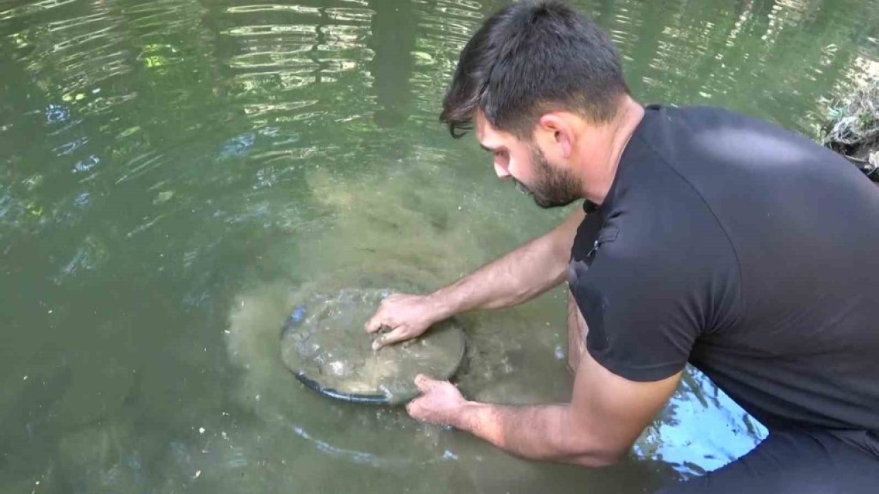 Dünyayı geziyor, günde 5 gram altın çıkarıyor