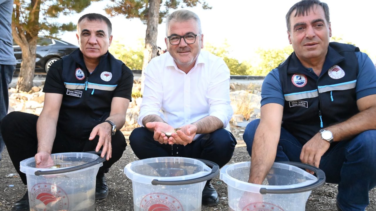 Seydişehir'de göletlere 500 bin sazan yavrusu bırakıldı