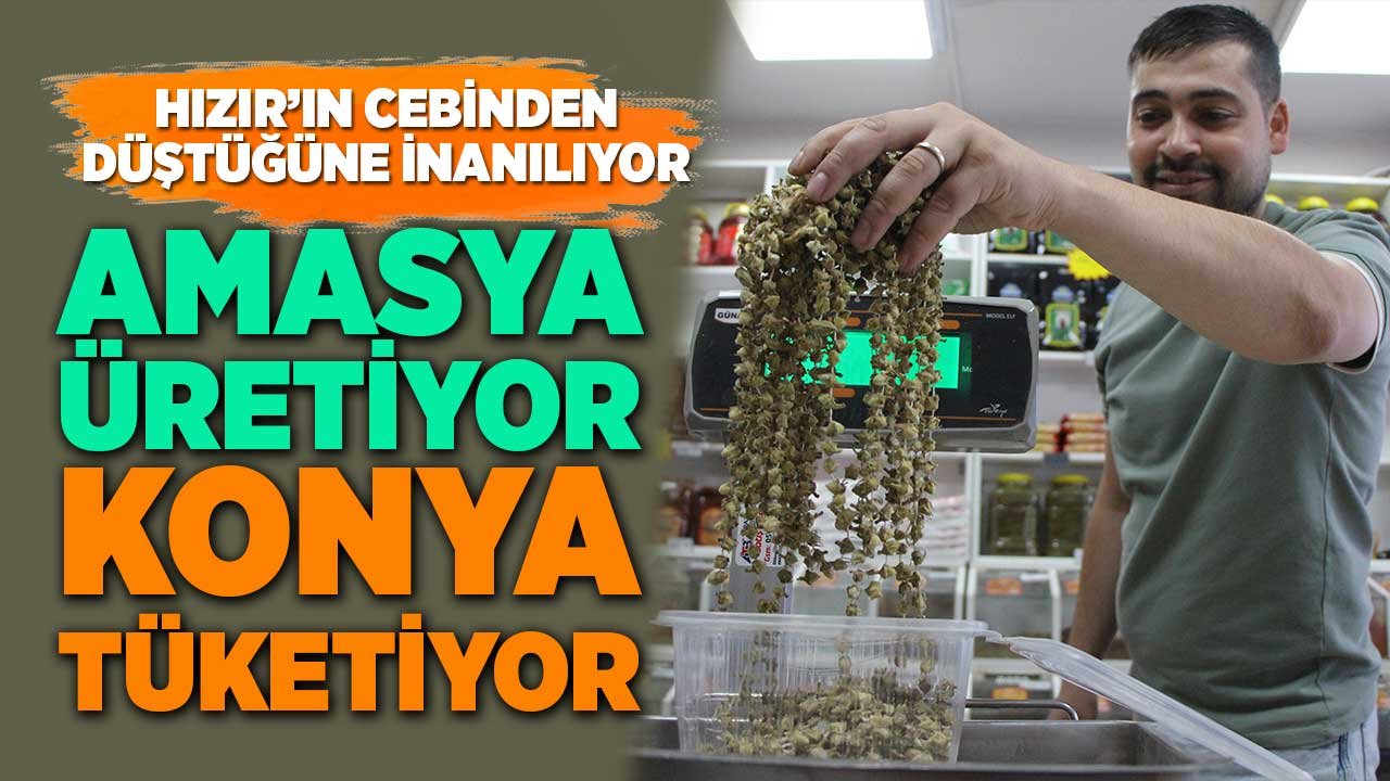 Hızır’ın cebinden düştüğüne inanılıyor! Amasya üretiyor Konya tüketiyor