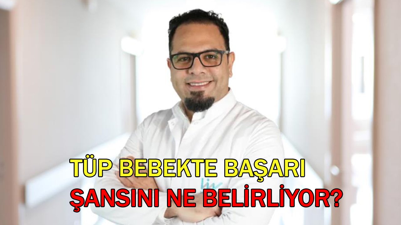 Tüp bebekte başarı şansını ne belirliyor? Uzmanı tek tek açıkladı