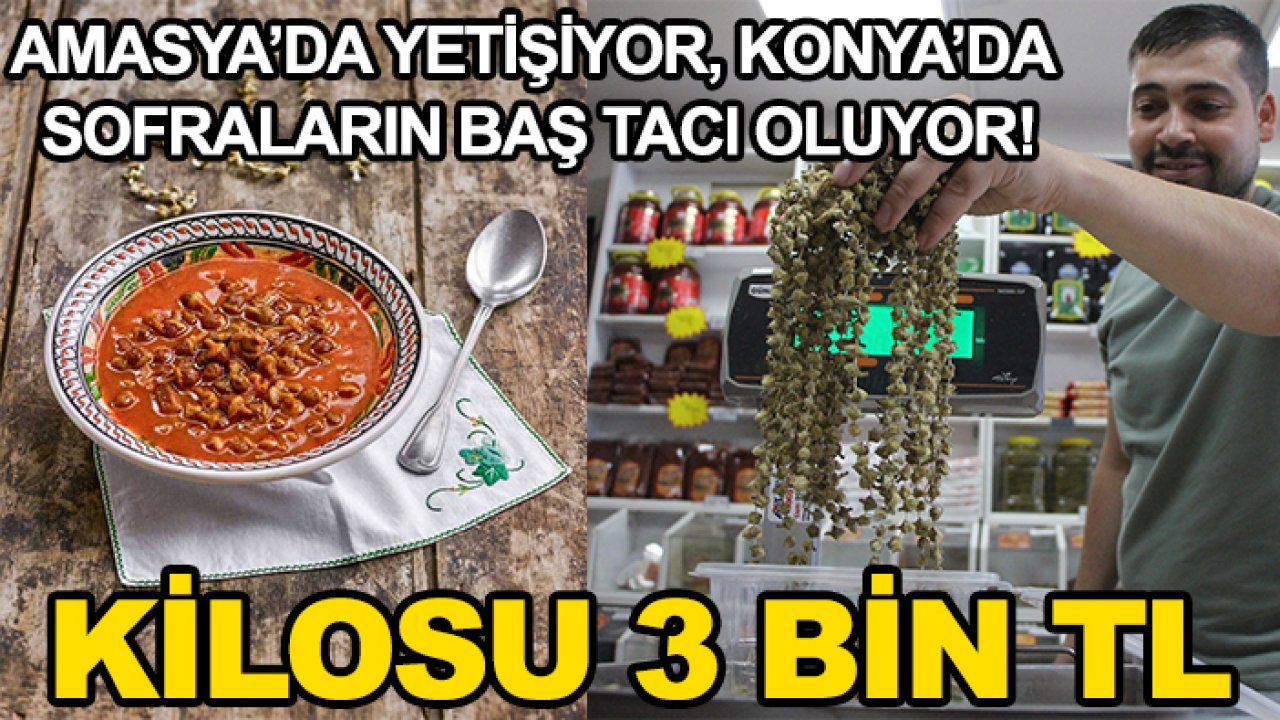 Amasya’da yetişiyor, Konya’da sofraların baş tacı oluyor! Kilosu 3 bin TL