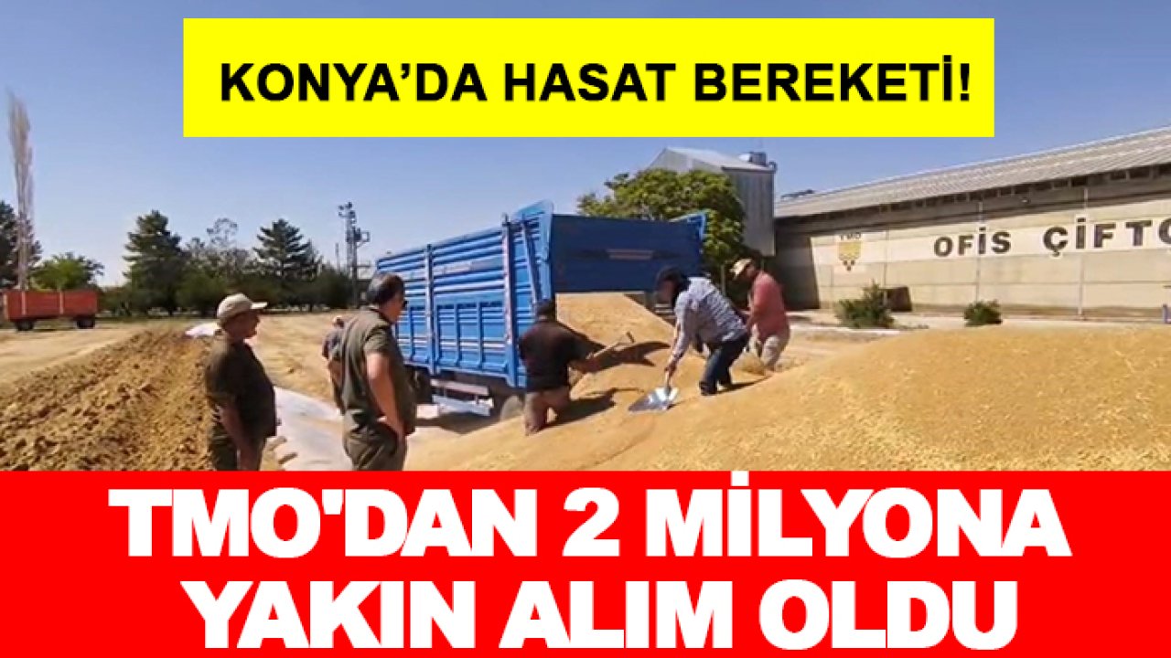 Konya’da hasat bereketi! TMO'dan 2 milyona yakın alım