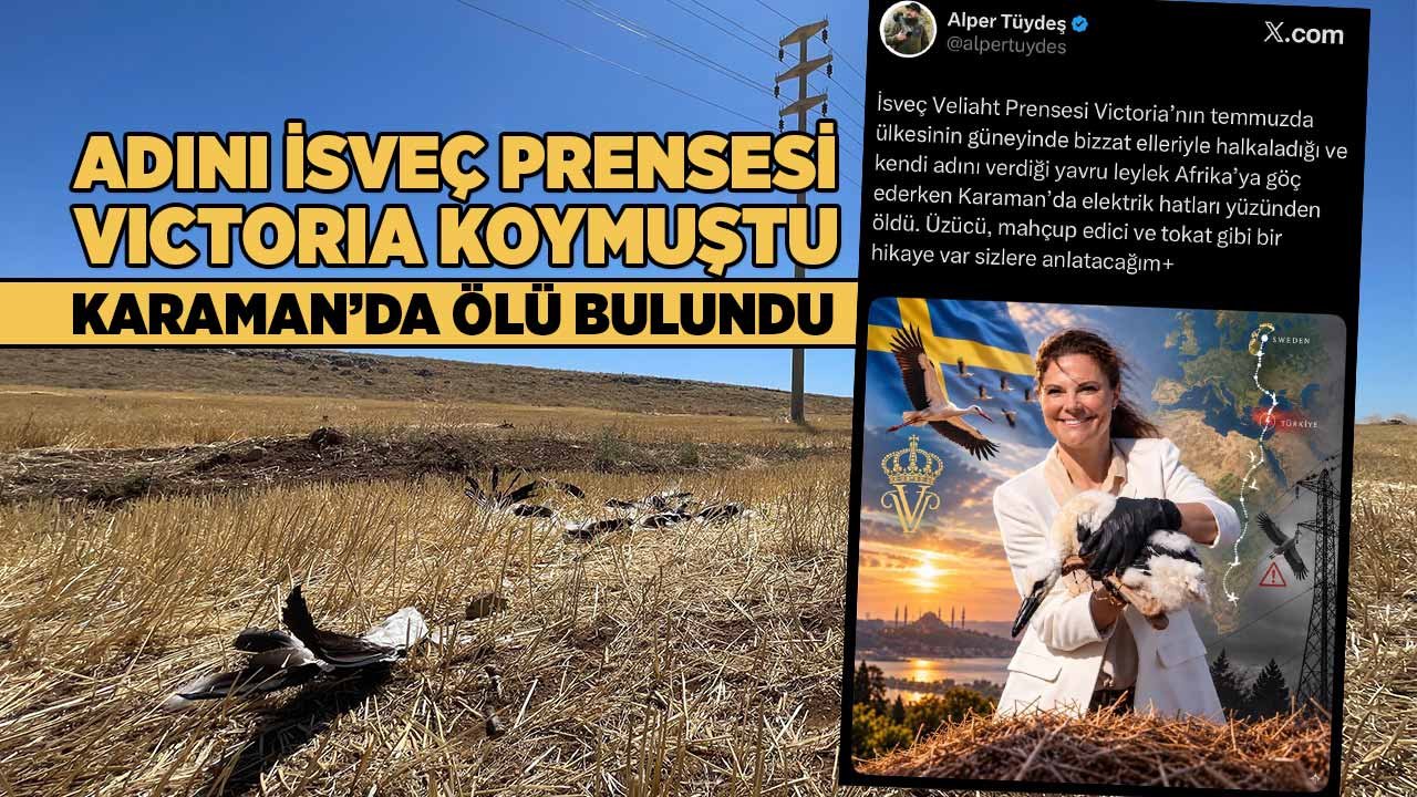 Adını İsveç Prensesi Victoria koymuştu, Karaman’da ölü bulundu!