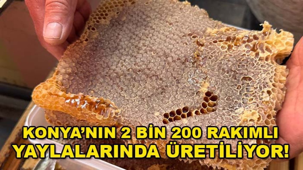Konya’nın 2 bin 200 rakımlı yaylalarında üretiliyor! Doğal bal için kovanlar taşındı