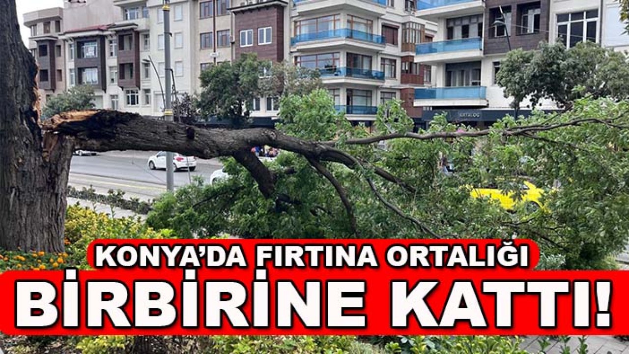 Konya’da fırtına ortalığı birbirine kattı! Ağaç tramvay yoluna devrildi
