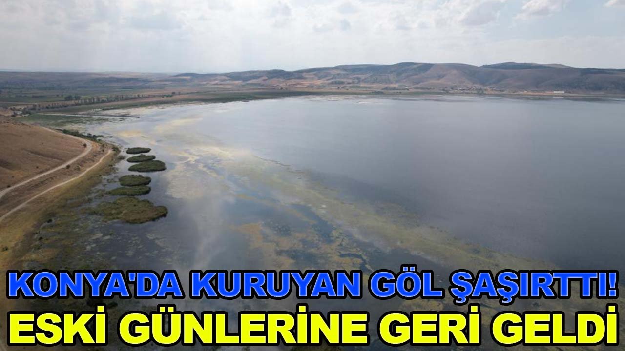 Konya'da kuruyan göl şaşırttı! Eski günlerine geri geldi