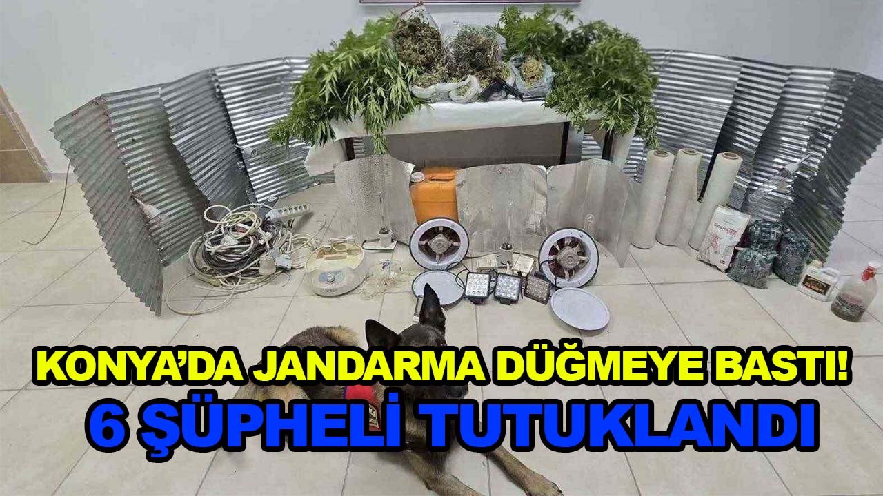 Konya’da jandarma düğmeye bastı! 6 şüpheli tutuklandı