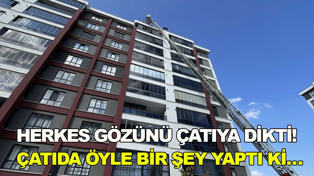 Herkes gözünü çatıya dikti! Çatıda öyle bir şey yaptı ki…