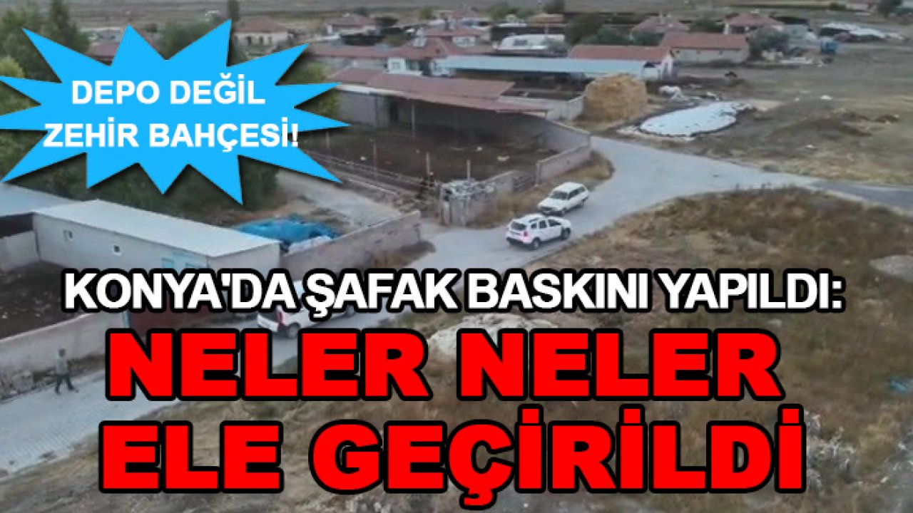 Depo değil zehir bahçesi! Konya'da şafak baskını yapıldı: Neler neler ele geçirildi