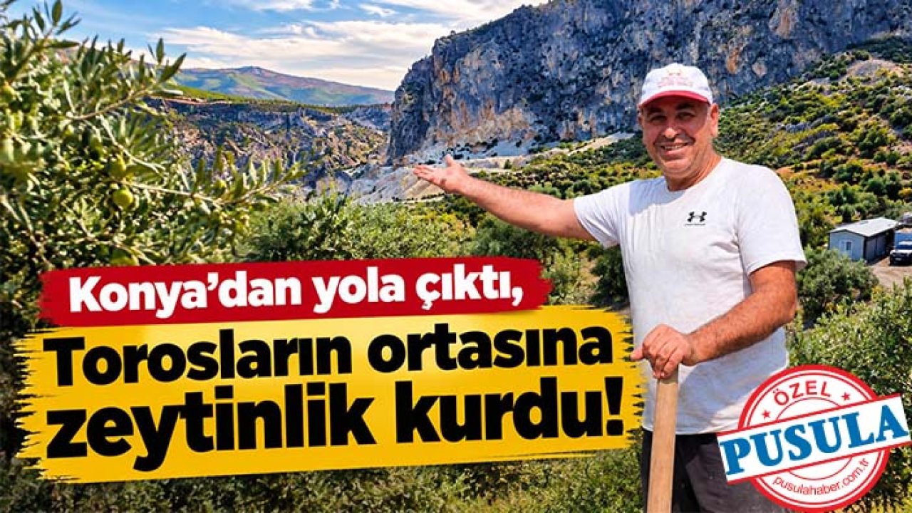 Konya’dan yola çıktı, Torosların ortasına zeytinlik kurdu!