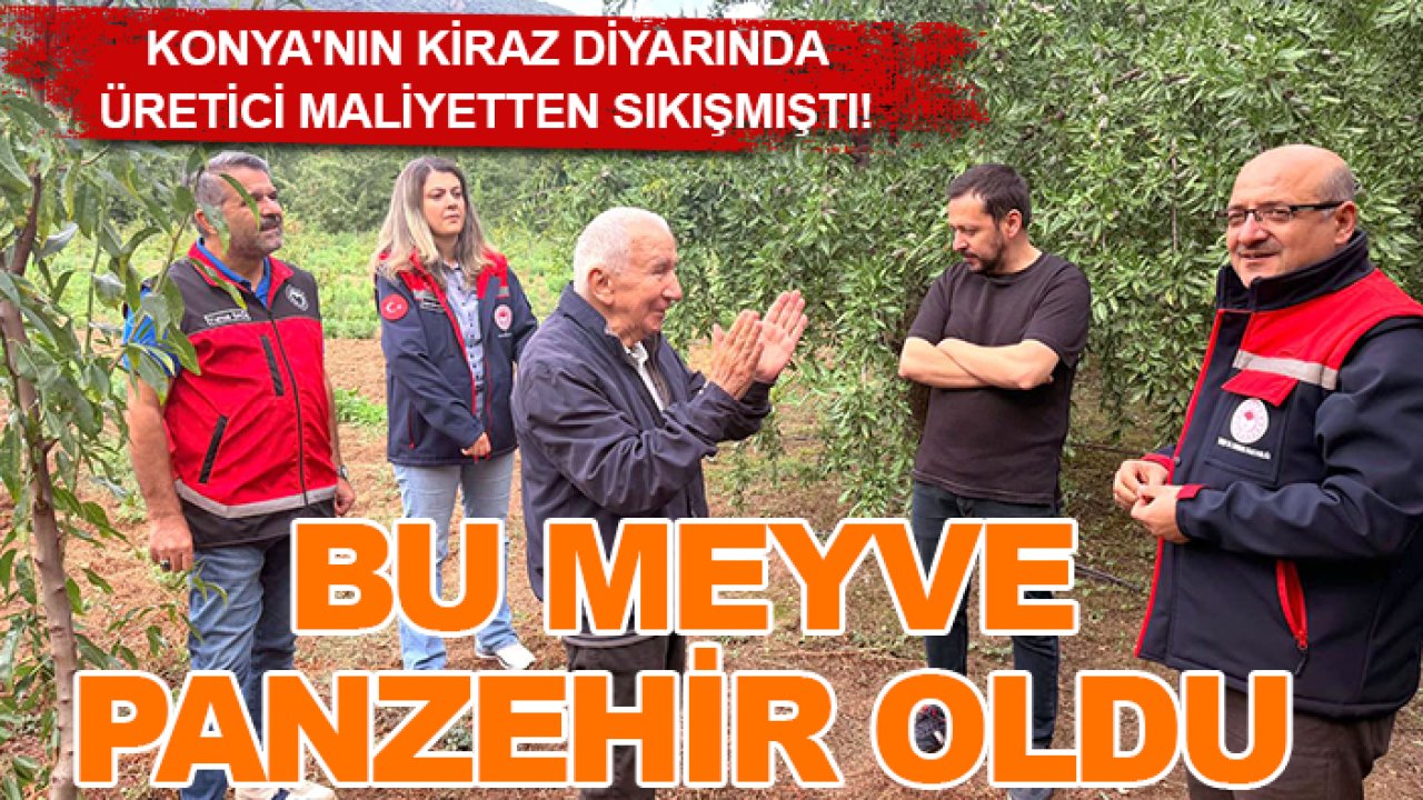 Konya'nın kiraz diyarında üretici maliyetten sıkışmıştı! Bu meyve panzehir oldu