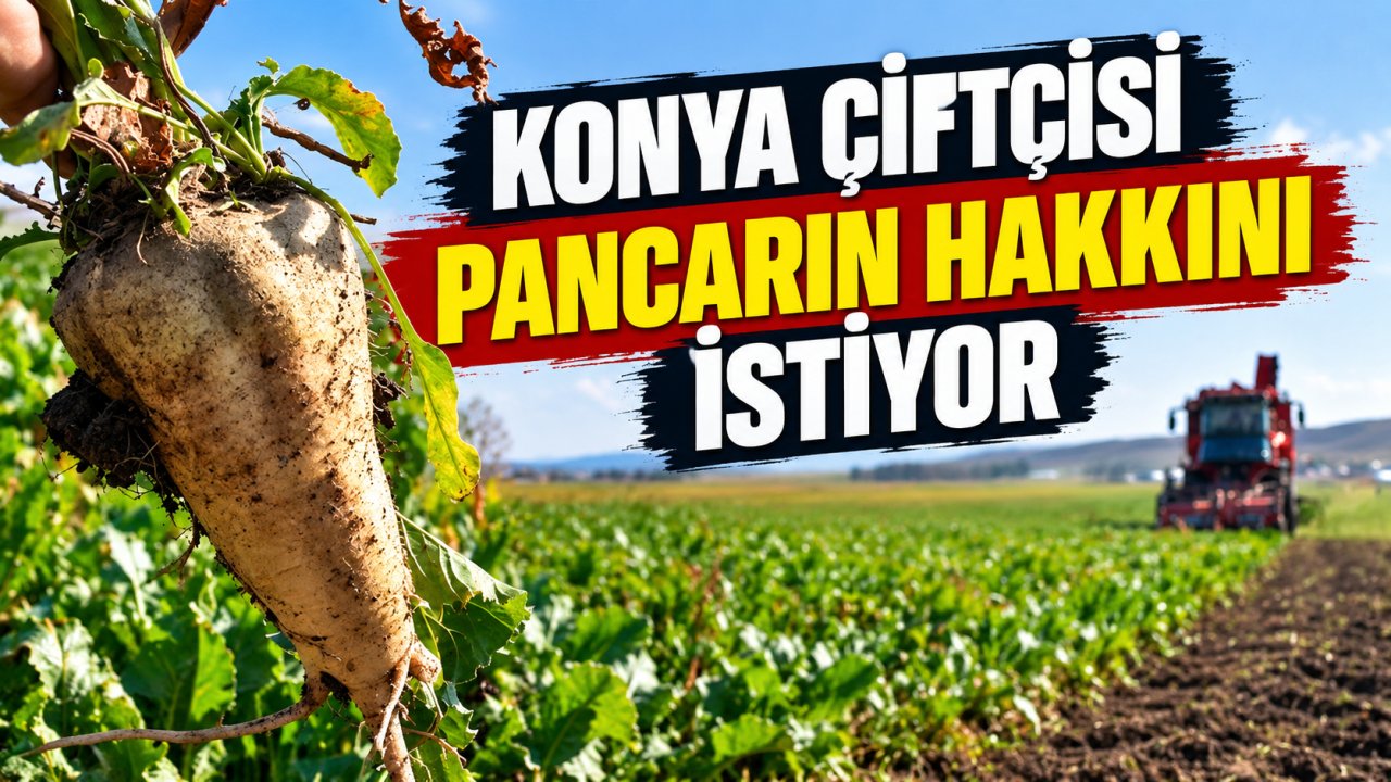 Konya çiftçisi pancarın hakkını istiyor! İşte açıklanması beklenen rakam